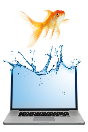  Laptop isolated on white background