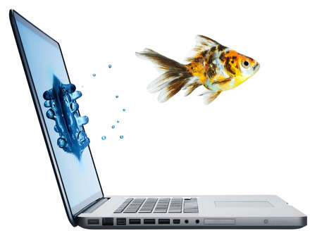 gold fish jumping from Laptop isolated on white backgroundの写真素材