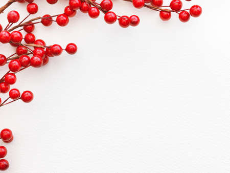 red berries on white paperの写真素材