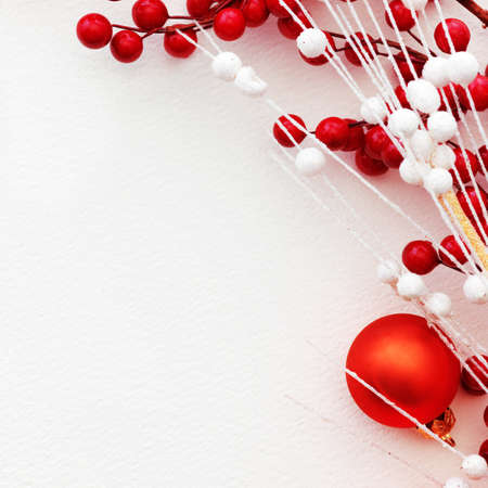 Christmas Pine and Berries on paperの写真素材