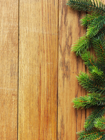Christmas fir tree on the wooden board