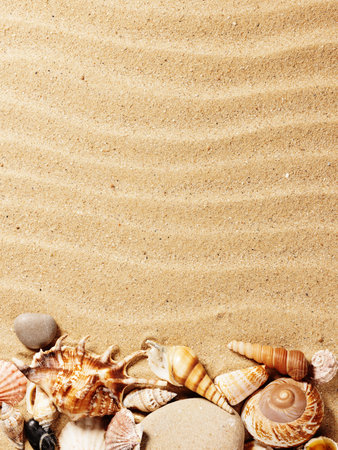 sea shells with sand as background
