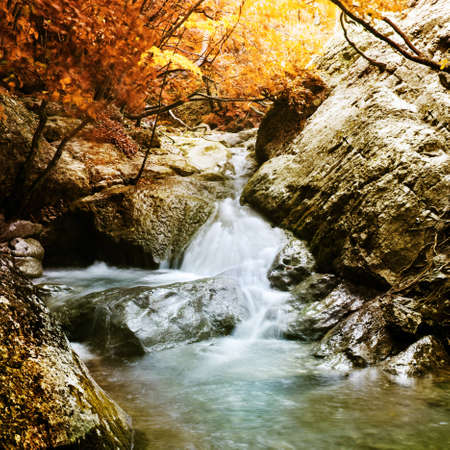 The beautiful waterfall in forest, spring, long exposureの写真素材