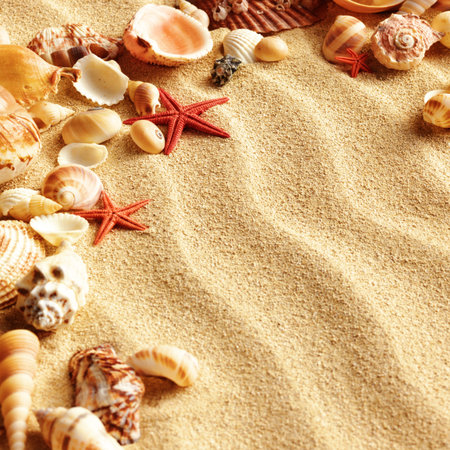 sea shells with sand as background