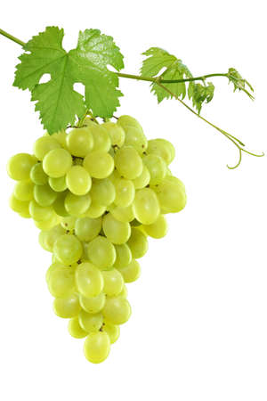 Fresh green grapes with leaves. Isolated on white Fresh green grapes with leaves. Isolated on white
