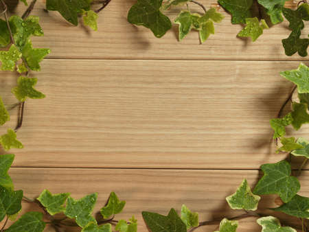 Wooden board covered in ivyの写真素材