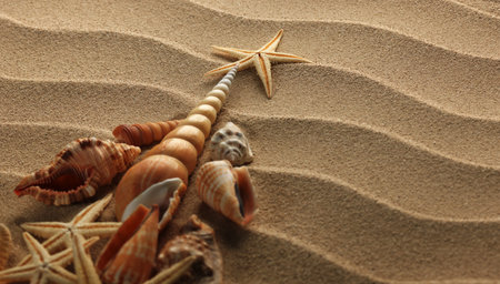 sea shells with sand as background