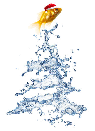 Christmas water splash tree with gold fish isolated on whiteの写真素材