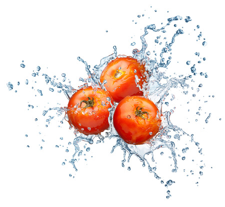tomatoes with splash on white backgroundの写真素材