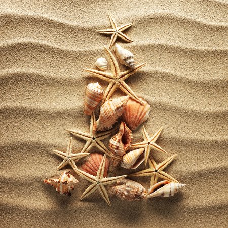 Christmass tree from shells on sand backgroundの写真素材