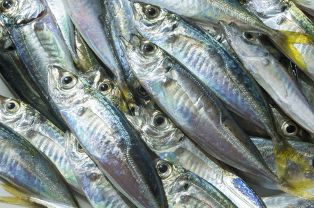 Raw fish scad over natural wood background.Close upの写真素材
