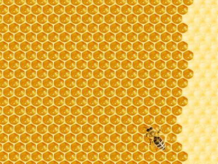 Close up view of the working bees on honey cellsの写真素材
