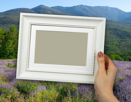 Wooden frame in beautiful woman hands on the background of Lavenderの写真素材
