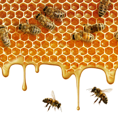 flow of sweet honey on the white background. Isolated.の写真素材