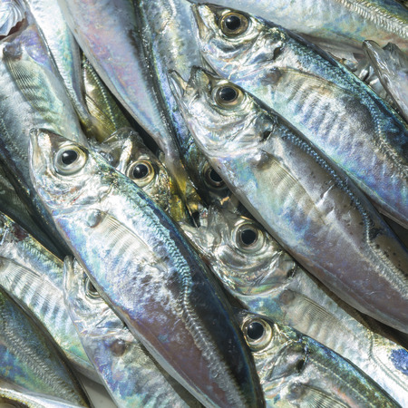 Raw fish scad over natural wood background.Close upの写真素材