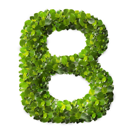 Letter B made of green leaves isolated on white