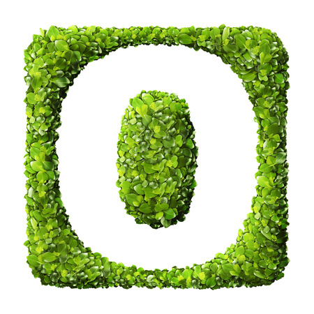Letter O made of green leaves isolated on whiteの写真素材