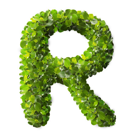 Letter R made of green leaves isolated on whiteの写真素材