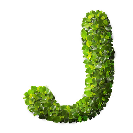 Letter J made of green leaves isolated on whiteの写真素材