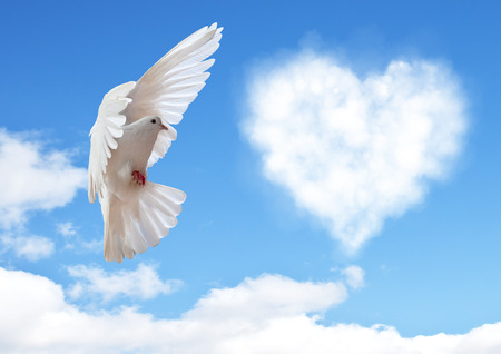 Blue sky with hearts shape clouds and dove. Love conceptの写真素材
