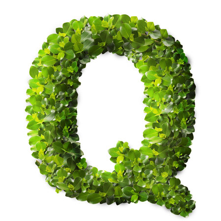 Letter Q made of green leaves isolated on whiteの写真素材