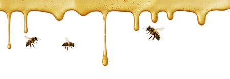 flow of sweet honey on the white background. Isolated.の写真素材