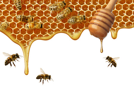 flow of sweet honey on the white background. Isolated.の写真素材