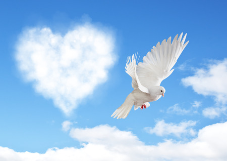 Blue sky with hearts shape clouds and dove. Love conceptの写真素材
