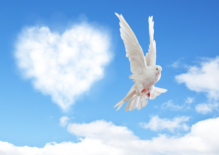 Blue sky with hearts shape clouds and dove. Love conceptの写真素材