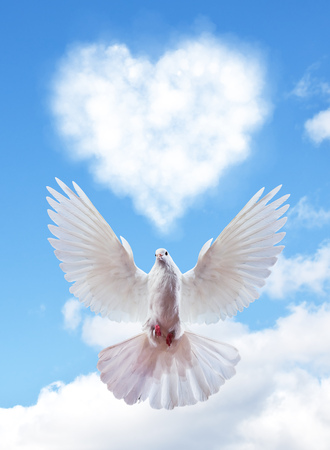 Blue sky with hearts shape clouds and dove. Love conceptの写真素材