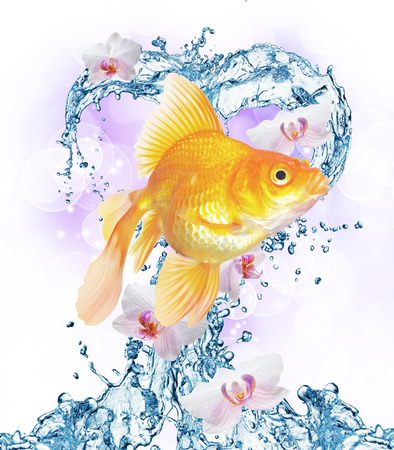 Heart from water splash with bubbles. Bokeh backgroundの写真素材