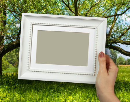 Wooden frame in beautiful woman hands on the forest background