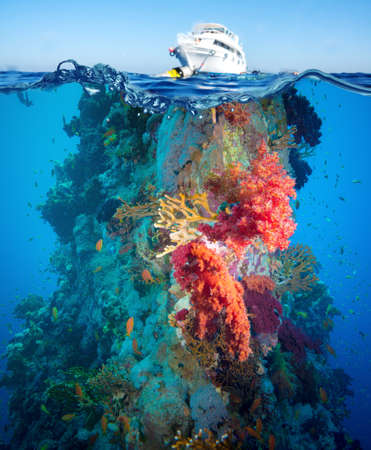 Colorful underwater offshore rocky reef with coral and sponges and small tropical fish swimming by in a blue oceanの写真素材