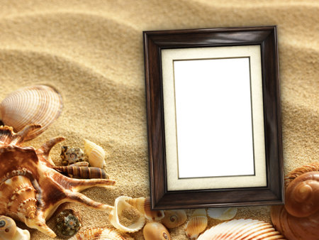 Pictue frame on shells and sand background. Copy space.の写真素材