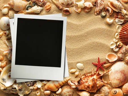 Pictue frame on shells and sand background. Copy space.の写真素材