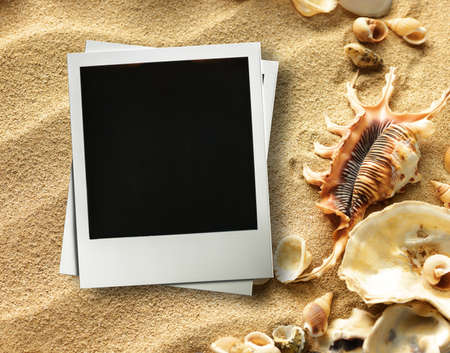 Pictue frame on shells and sand background. Copy space.の写真素材