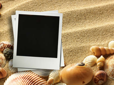 Pictue frame on shells and sand background. Copy space.の写真素材