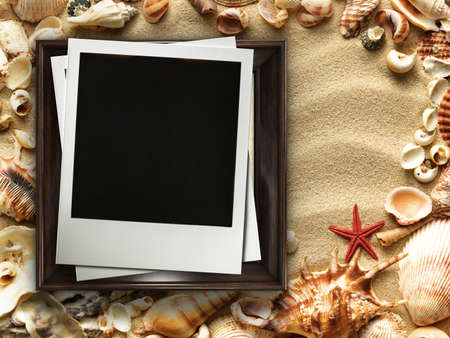 Pictue frame on shells and sand background. Copy space.の写真素材