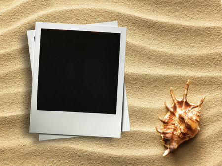 Pictue frame on shells and sand background. Copy space.の写真素材