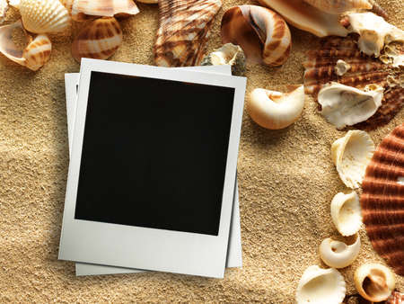 Pictue frame on shells and sand background. Copy space.の写真素材