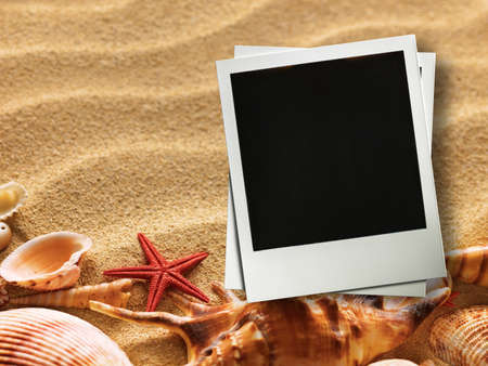 Pictue frame on shells and sand background. Copy space.の写真素材