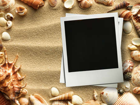 Pictue frame on shells and sand background. Copy space 3d renderingの写真素材