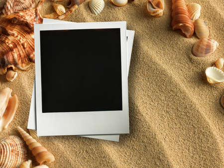 Pictue frame on shells and sand background. Copy space.