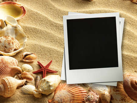 Pictue frame on shells and sand background. Copy space.の写真素材
