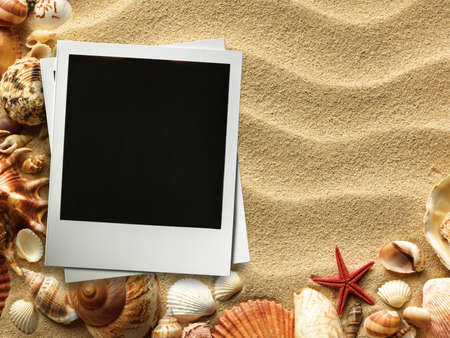Pictue frame on shells and sand background. Copy space.の写真素材
