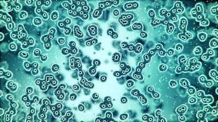 Microscopic plate of bacteria multiplying themselves 3d renderingの写真素材