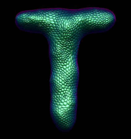 Letter T made of natural green snake skin texture isolated on black. 3d renderingの写真素材