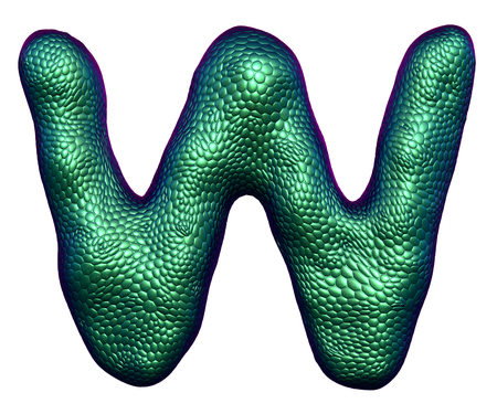 Letter W made of natural green snake skin texture isolated on white. 3d renderingの写真素材