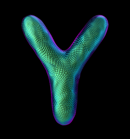 Letter Y made of natural green snake skin texture isolated on black. 3d renderingの写真素材