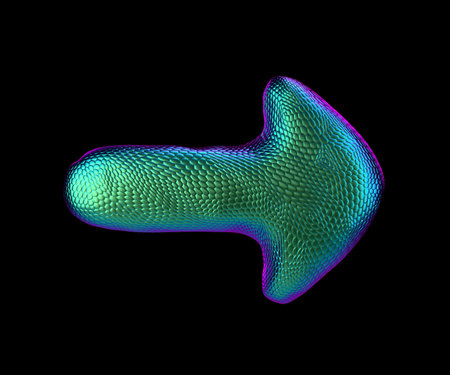 Arrow made of natural green snake skin texture isolated on black. 3d rendering